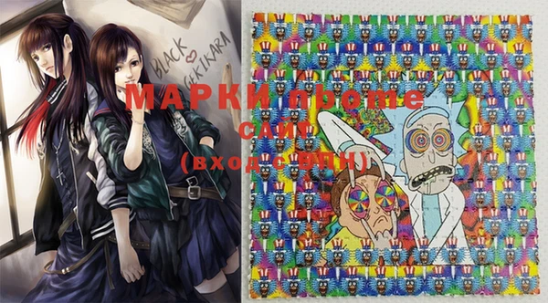 индика Приозерск