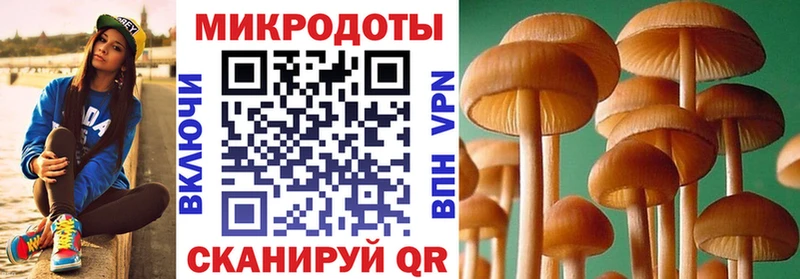 Купить Юрьев-Польский Псилоцибиновые грибы MAGIC MUSHROOMS